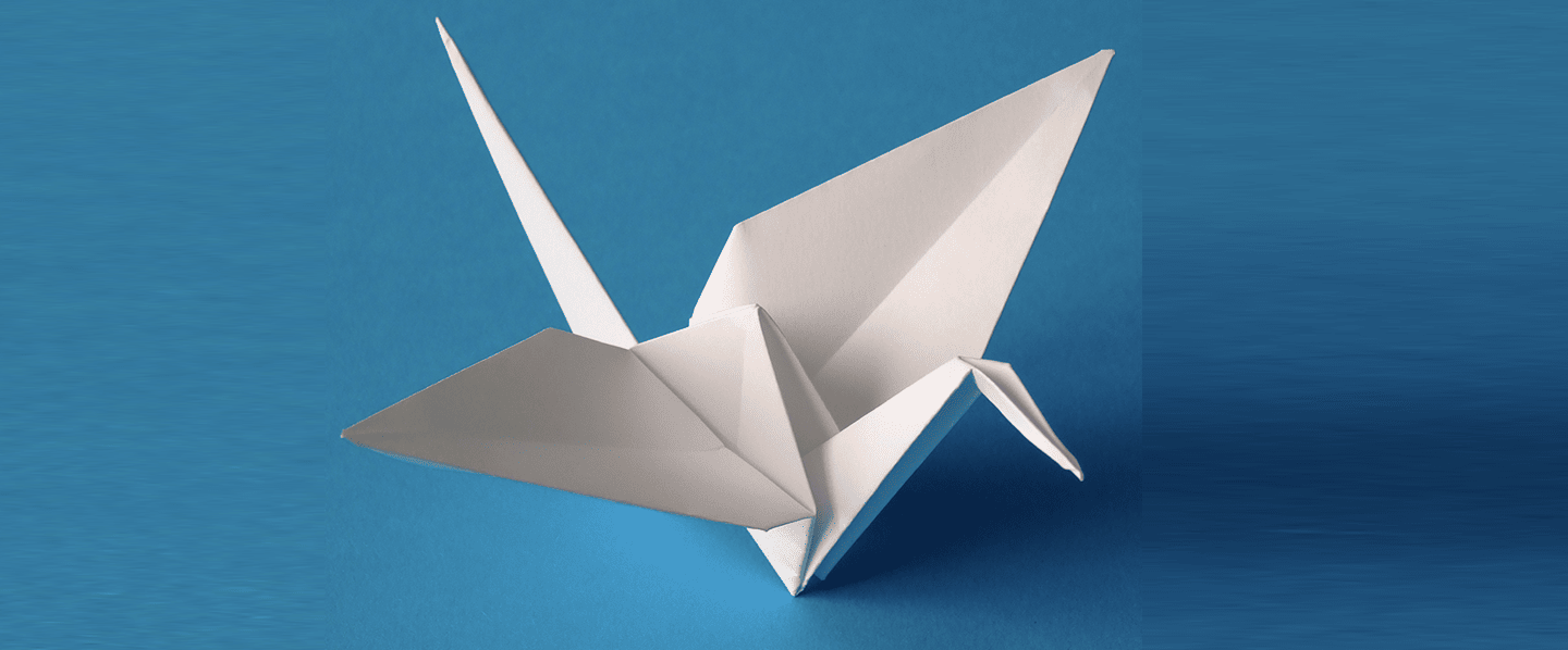 origami Contractia